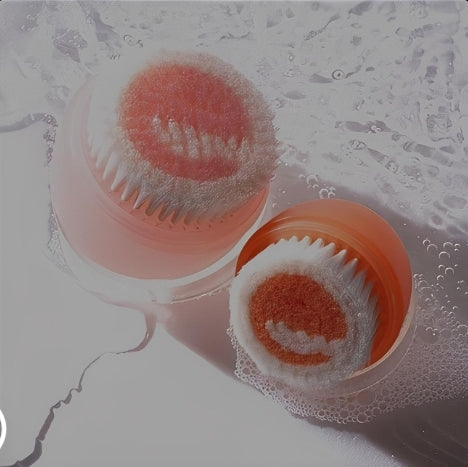 EcoTools - Big Fan Brush